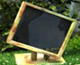 La_nature_reprend_ses_droits