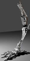 Pied_Robot