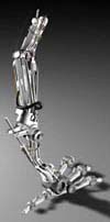 Pied_Robot